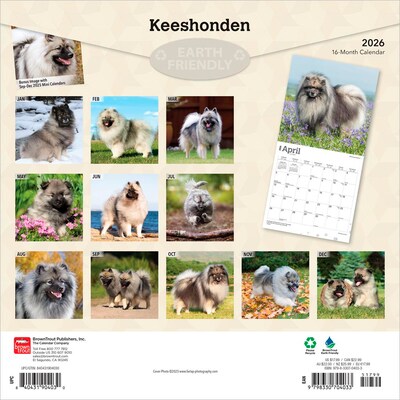 2026 BrownTrout Keeshonden 12 x 12 Monthly Wall Calendar (9798330704033)