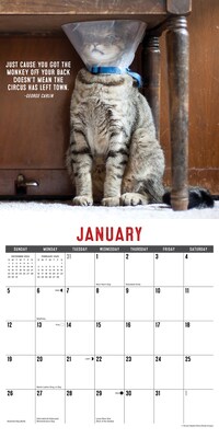 2025 Willow Creek Bad Kitties 12" x 12" Monthly Wall Calendar (41574)