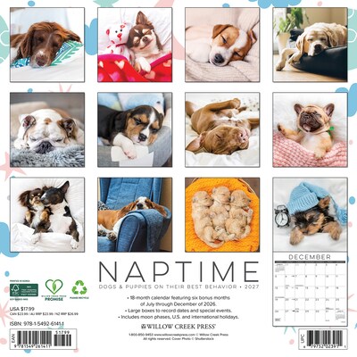 2027 Willow Creek Naptime: Dogs & Puppies on their Best Behavior 12 x 12 Monthly Wall Calendar (61411)