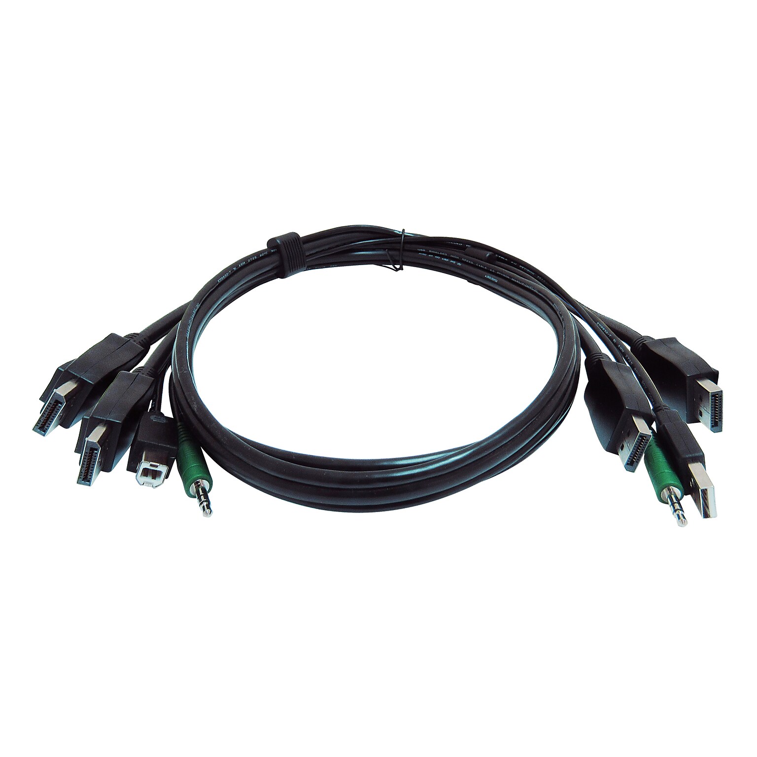 Black Box 6 USB to Display Port/3.5mm Audio/Video Cable, Male to Male, Black (SKVMCBL-2DP-06TAA)