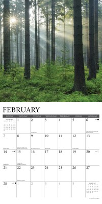 2027 Willow Creek Heaven Has a Forest 12" x 12" Monthly Wall Calendar (60636)