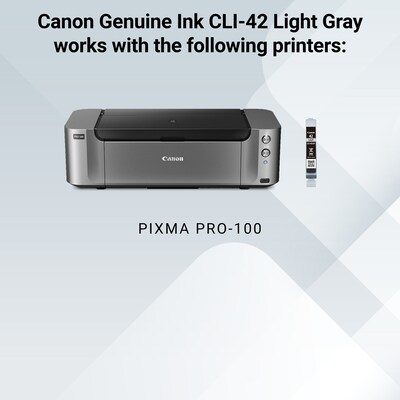 Canon 42 Light Gray Standard Yield Ink Cartridge   (6391B002)