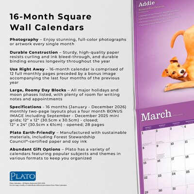 2026 Plato Yoga Puppies 12" x 12" Monthly Wall Calendar (9798330701995)