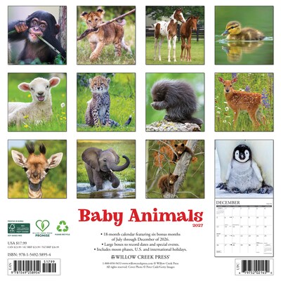 2027 Willow Creek Baby Animals 12 x 12 Monthly Wall Calendar (58954)