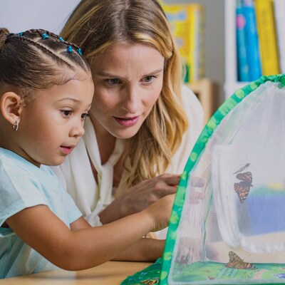 Insect Lore Butterfly Farm Science Manipulative for Students (ILP1015)