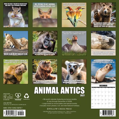 2027 Willow Creek Animal Antics 12 x 12 Monthly Wall Calendar, Assorted Colors (58787)