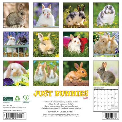 2025 Willow Creek Just Bunnies 12 x 12 Monthly Wall Calendar (42045)