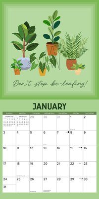 2027 Willow Creek Plantrovert 12" x 12" Monthly Wall Calendar, Assorted Colors (61817)