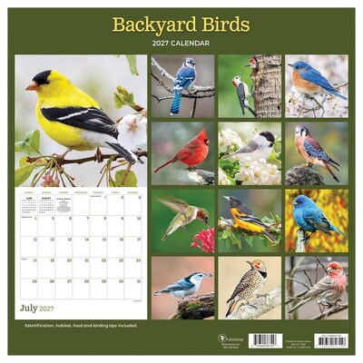 2027 TF Publishing Backyard Birds 12" x 11" Monthly Wall Calendar, Multicolored (27-1033)