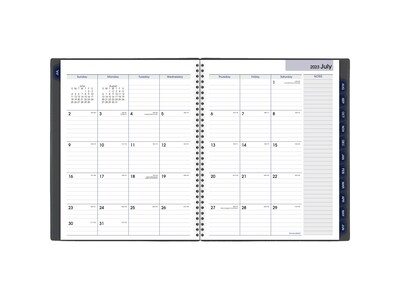 2023-2024 AT-A-GLANCE DayMinder 8.5" x 11" Academic Weekly & Monthly Appointment Book, Charcoal (AYC520-45-24)
