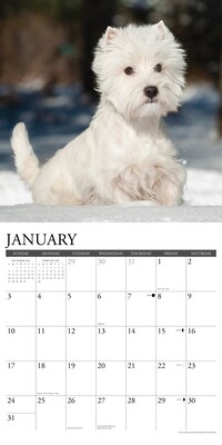 2027 Willow Creek 12" x 12" Monthly Wall Calendar, Assorted Colors (62869)