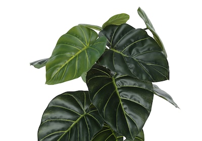 Monarch Specialties Inc. 24" Artificial Alocasia Plant in Pot (I 9578)