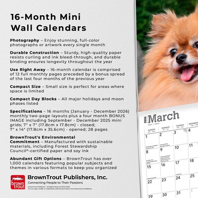 2026 BrownTrout Pomeranians 7" x 7" Monthly Wall Calendar (9798330705146)