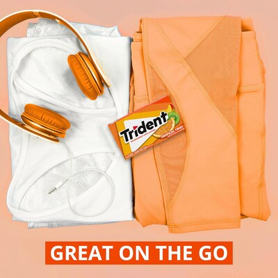 Trident Sugar Free Tropical Twist Gum, 14 Pieces/Pack, 12/Packs (VAM00502)