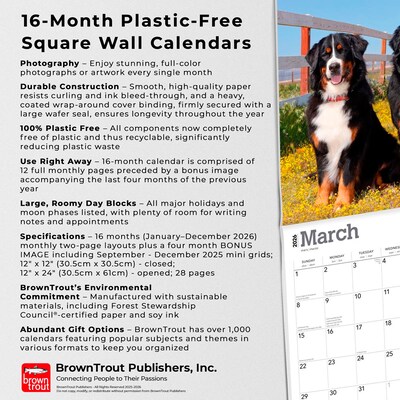 2026 BrownTrout Bernese Mountain Dogs 12" x 12" Monthly Wall Calendar (9798330702398)