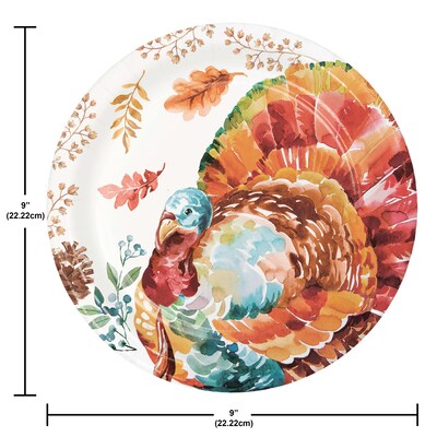 Say Hooray! Tasteful Turkey Paper Plates and Napkins Kit, Multicolored, 48/Pack (DTC9386E2G)