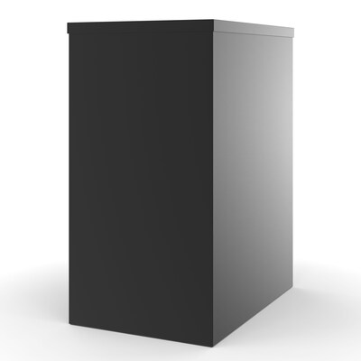 Quill Brand® 2-Drawer Vertical File Cabinet, Locking, Letter, Black, 22"D (22335D)