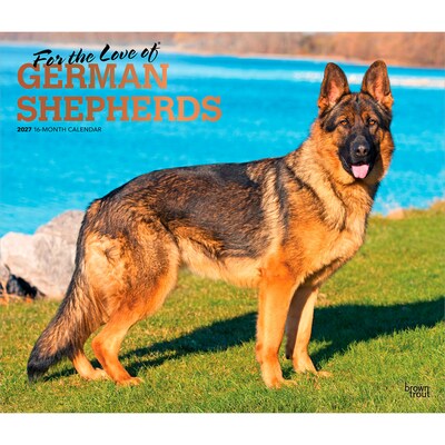 2027 BrownTrout For the Love of German Shepherds 14 x 12 Monthly Wall Calendar, Assorted Colors (9798330709250)