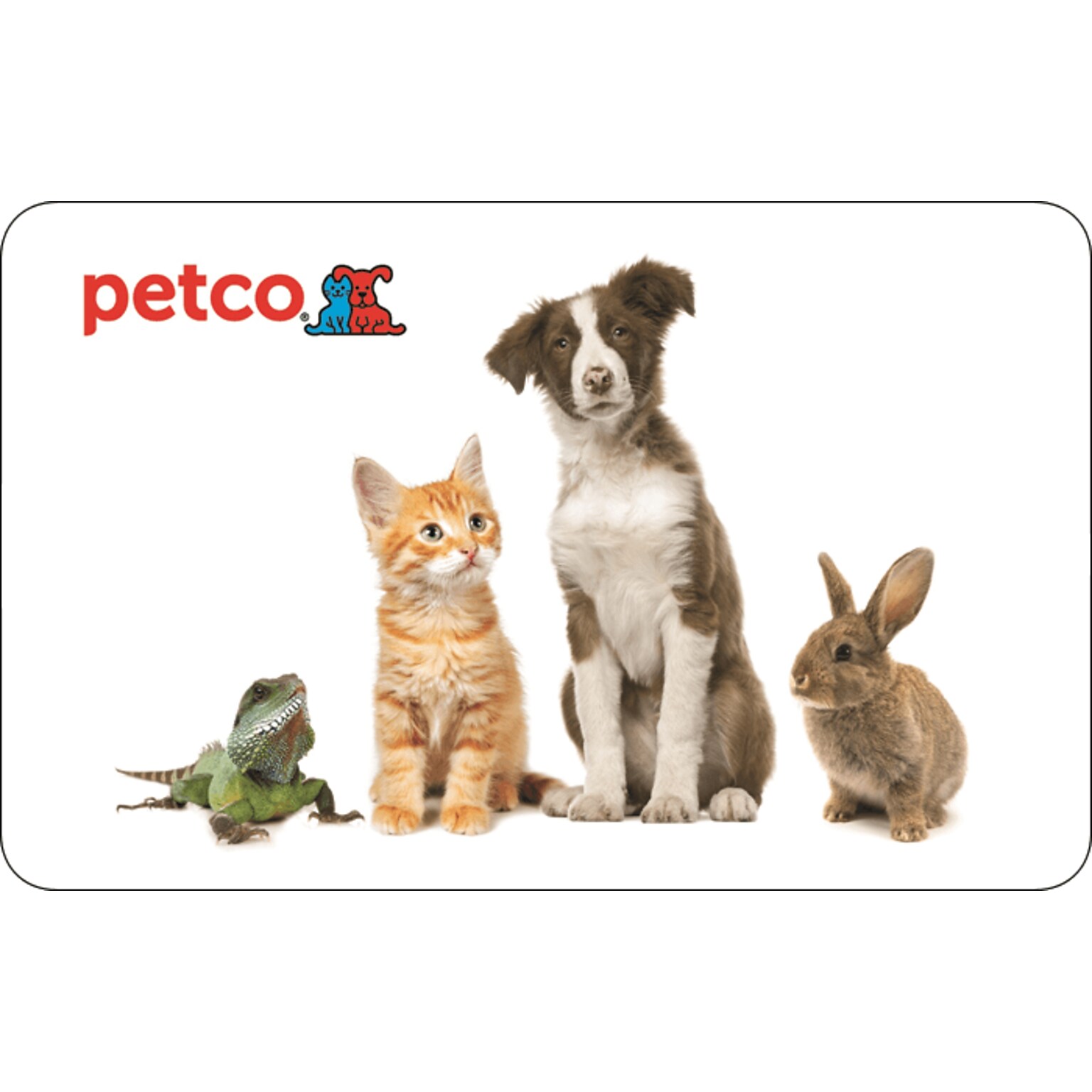 Petco Gift Card, $100