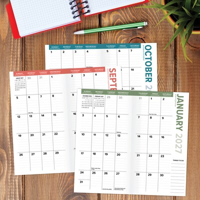 2026-2028 Willow Creek Mushrooms 3.5" x 6.5" Monthly Pocket/Wallet Calendar, Assorted Colors (66768)