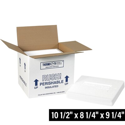 10.5 x 8.25 x 9.25, Insulated Shipping Containers, White, 2/Carton (220C)