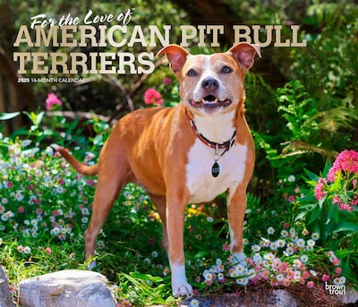 2025 BrownTrout For the Love of American Pit Bull Terriers 14 x 24 Monthly Deluxe Wall Calendar (9