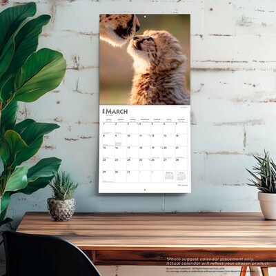 2026 BrownTrout Baby Animals 12" x 12" Monthly Wall Calendar (9798330702244)