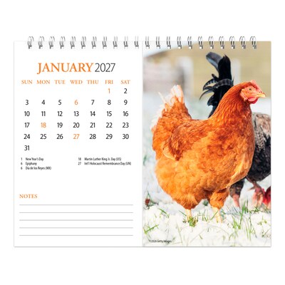 2027 BrownTrout Chickens 7.5" x 6" Monthly Wall Calendar, Assorted Colors (9798330709380)
