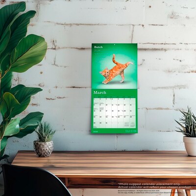 2026 BrownTrout Yoga Kittens 7" x 7" Monthly Wall Calendar (9798330701940)