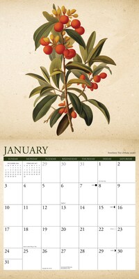 2027 Willow Creek Farmer's Market  12" x 12" Monthly Wall Calendar (60216)
