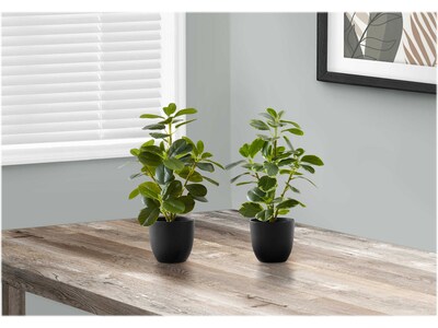 Monarch Specialties Inc. Ficus Elastica in Pot, 2/Pack (I 9585)