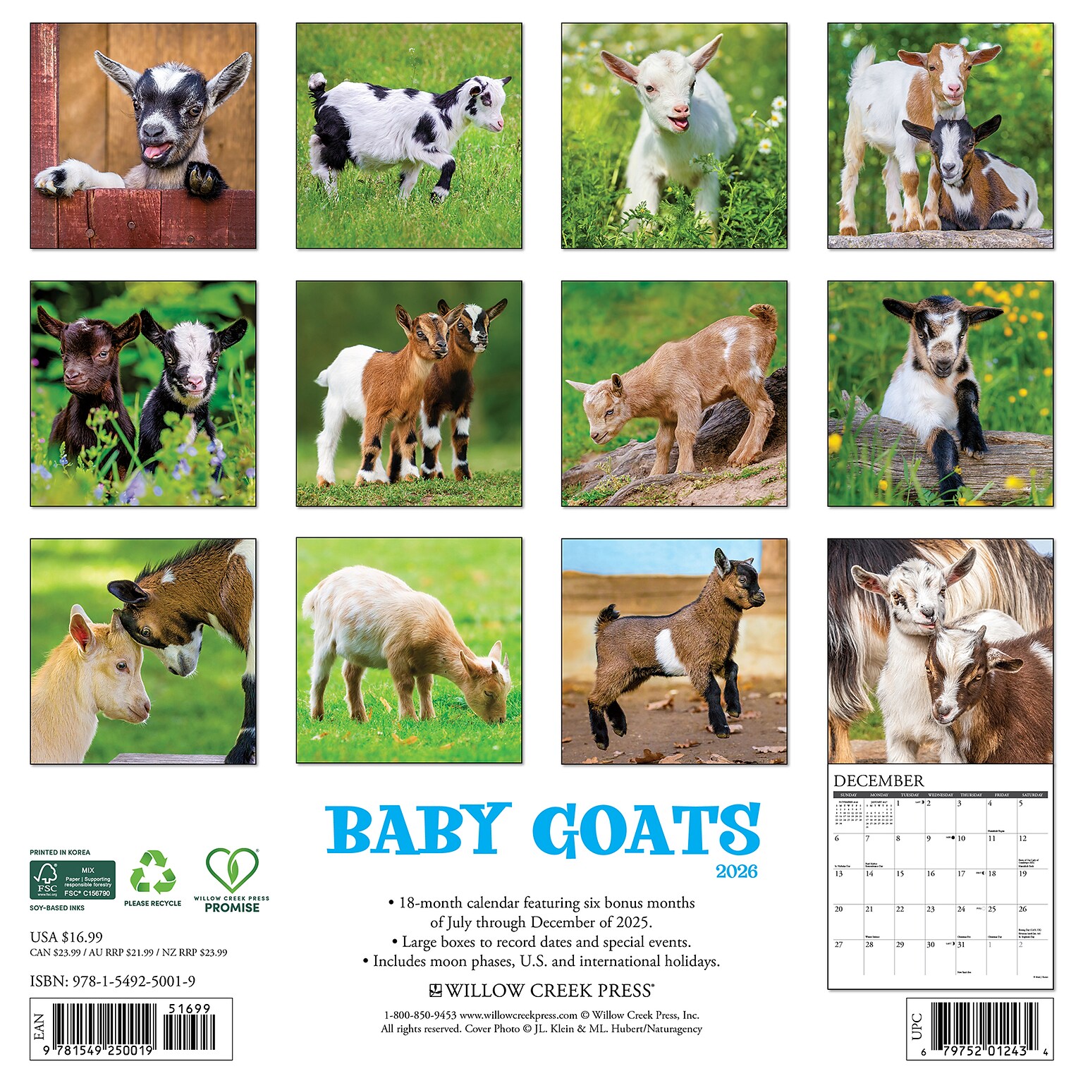 2026 Willow Creek Baby Goats 12 x 12 Monthly Wall Calendar (50019)