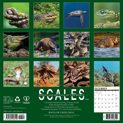 2026 Willow Creek Scales 12 x 12 Monthly Wall Calendar (56110)