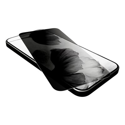 cellhelmet Tempered Glass Privacy Filter & Screen Protector for iPhone 17 (CHELSP106C000)