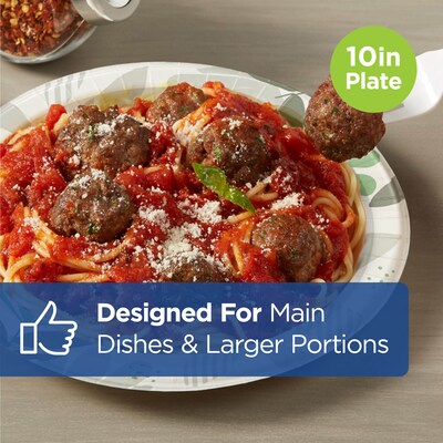 Dixie Ultra Pathways 10" Paper Plates, Multicolor, 500/Carton (SXP10PATH)