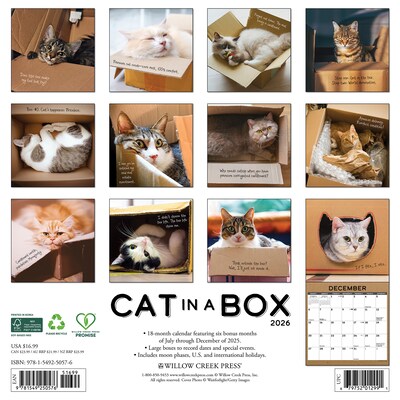 2026 Willow Creek Cat in a Box 12 x 12 Monthly Wall Calendar (50576)