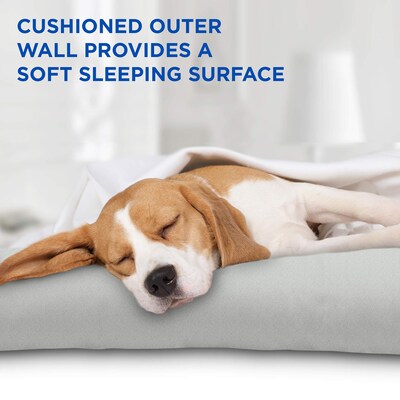 Arf Pets Solid Gel Based Pet Cooling Mat w/ Foam Based Bolster Bed, 26" x 40", Grey/Blue (APCLBL)