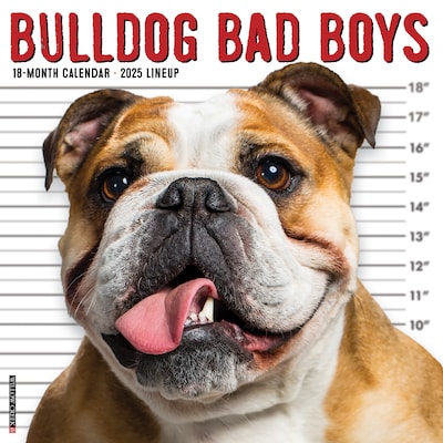 2025 Willow Creek Bulldog Bad Boys 12 x 12 Yearly Wall Calendar (42014)