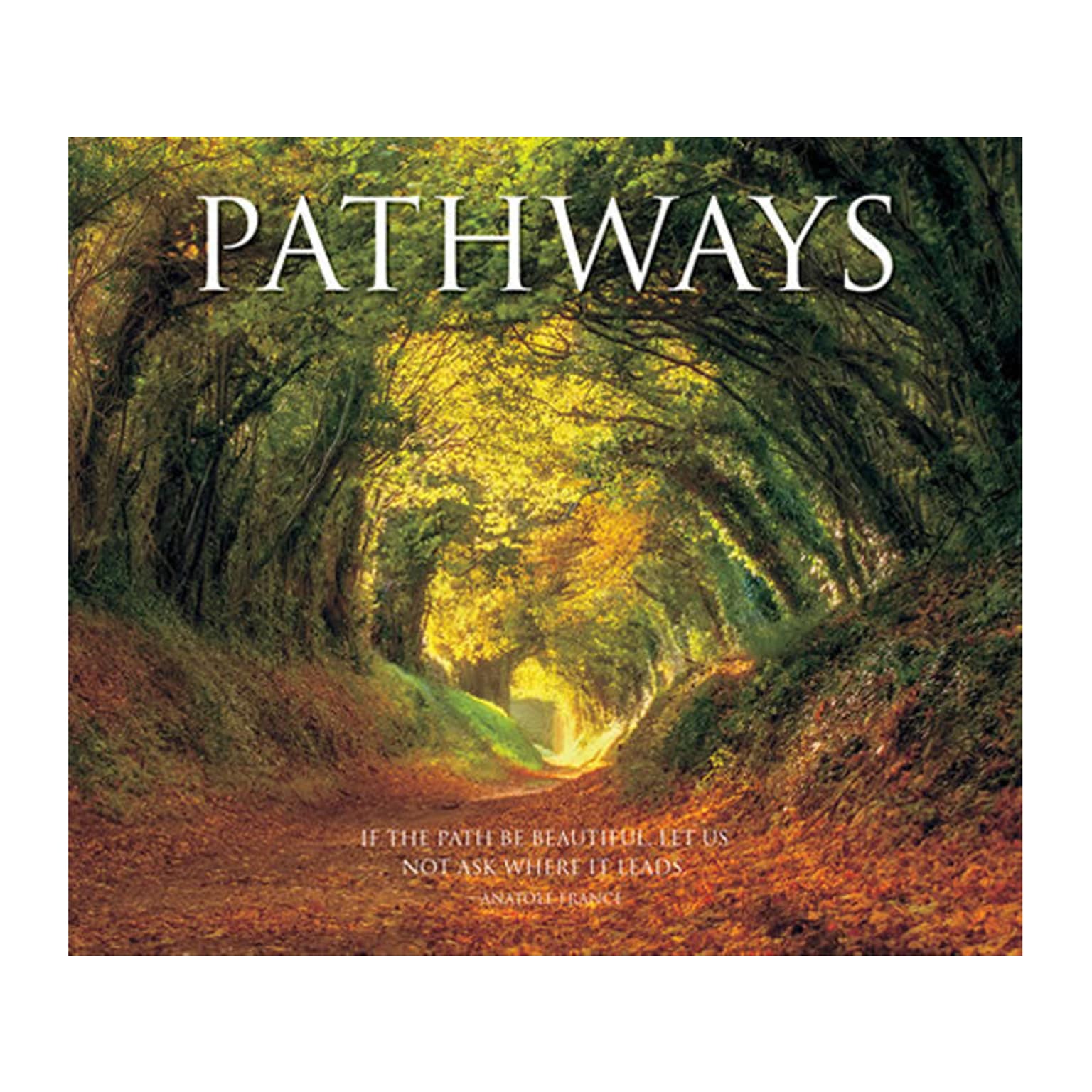 Pathways, Chapter Book, Hardcover (48345)