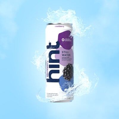 Hint Blueberry Lemon Flavored Purified Water, 12 fl. oz., 12 Cans/Pack (HINTBLULEMCAN12)