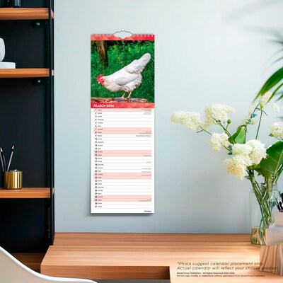 2026 BrownTrout Chickens 5.88" x 16.5" Monthly Wall Calendar (9798330702893)