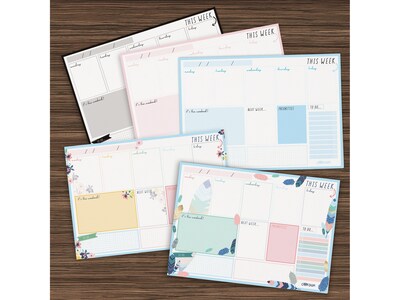 Carpe Diem Feathers 8.3" x 11.7" Weekly Planner, Multicolor, 6/Pack (9219-CD)