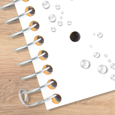 Five Star Five Star with Study App 5-Subject Subject Notebooks, College Ruled, 200 Sheets, White (820004B-ECM24)