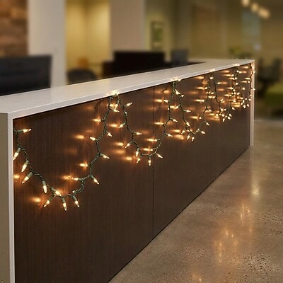 Excello Global Products Indoor/Outdoor LED Holiday String Lights, White Bulb/Green Wire, 2 Strands of 25' (EGP-HL-GW-WL)