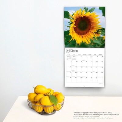 2023 BrownTrout Sunflowers 12" x 24" Monthly Wall Calendar, (9781975448837)