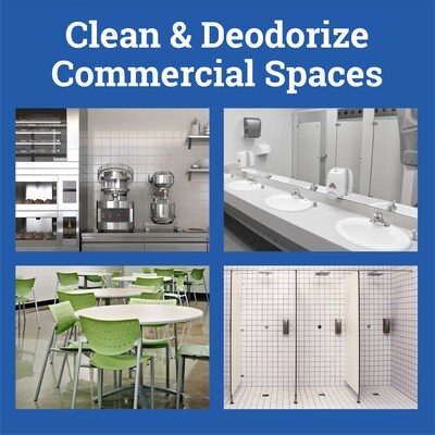 CloroxPro Clorox Fraganzia Multi-Purpose Cleaner, Lavender Meadows Scent, 175 fl oz. (60614)