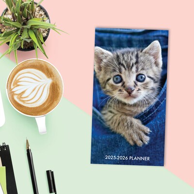 2025-2026 Willow Creek Cute As A Kitten 3.5" x 6.5" Yearly Planner, Paperboard Cover (46944)