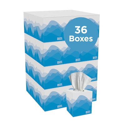 Pacific Blue Select Facial Tissue, 2-ply, 100 Tissues/Box, 36 Boxes/Pack (46200)
