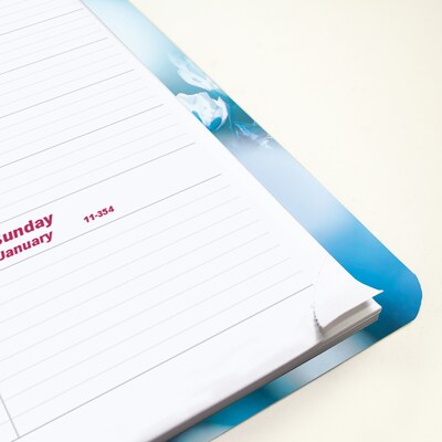 2027 Brownline Nature Cherry Blossoms 8.5" x 11" Weekly Appointment Book (CB950G.03-27)