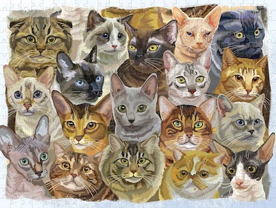Parragon 500 Piece Puzzle Cats and Dogs